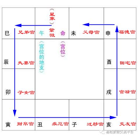 命主屬性|紫微斗數講堂——什么是“命主”